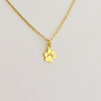 huellita de perro en oro